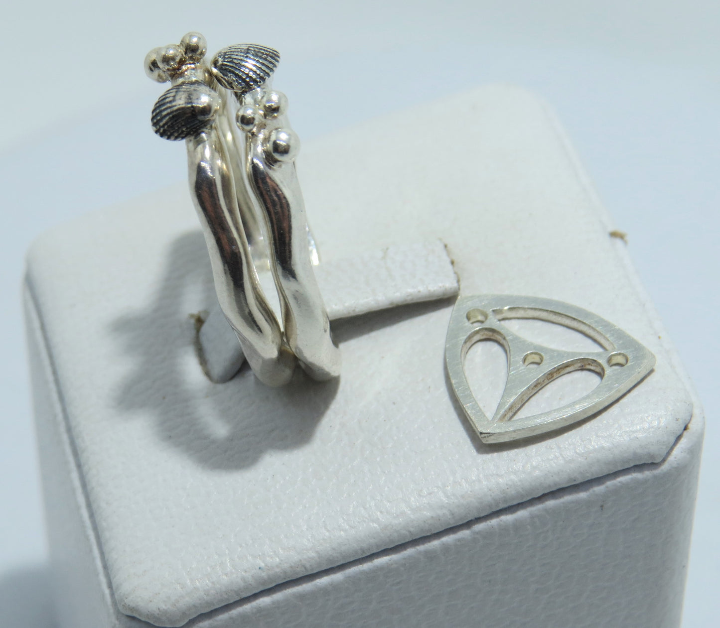 Anillo Pterius Oceana