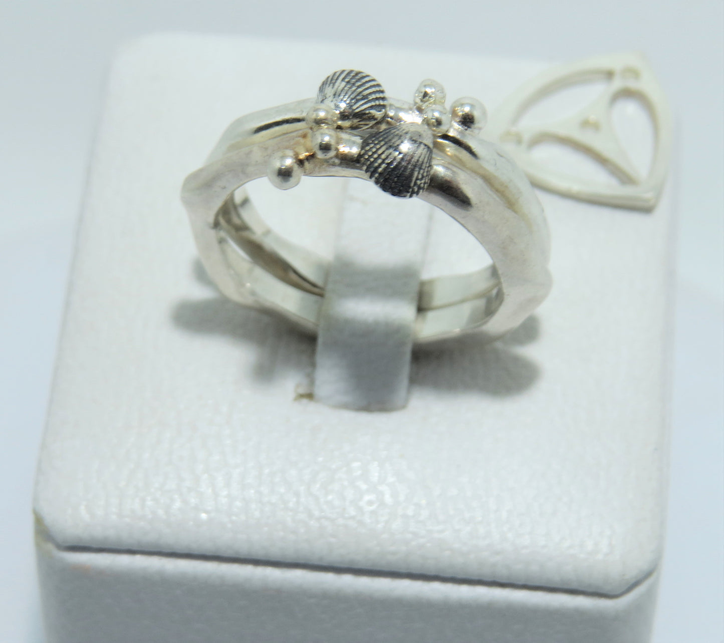 Anillo Pterius Oceana