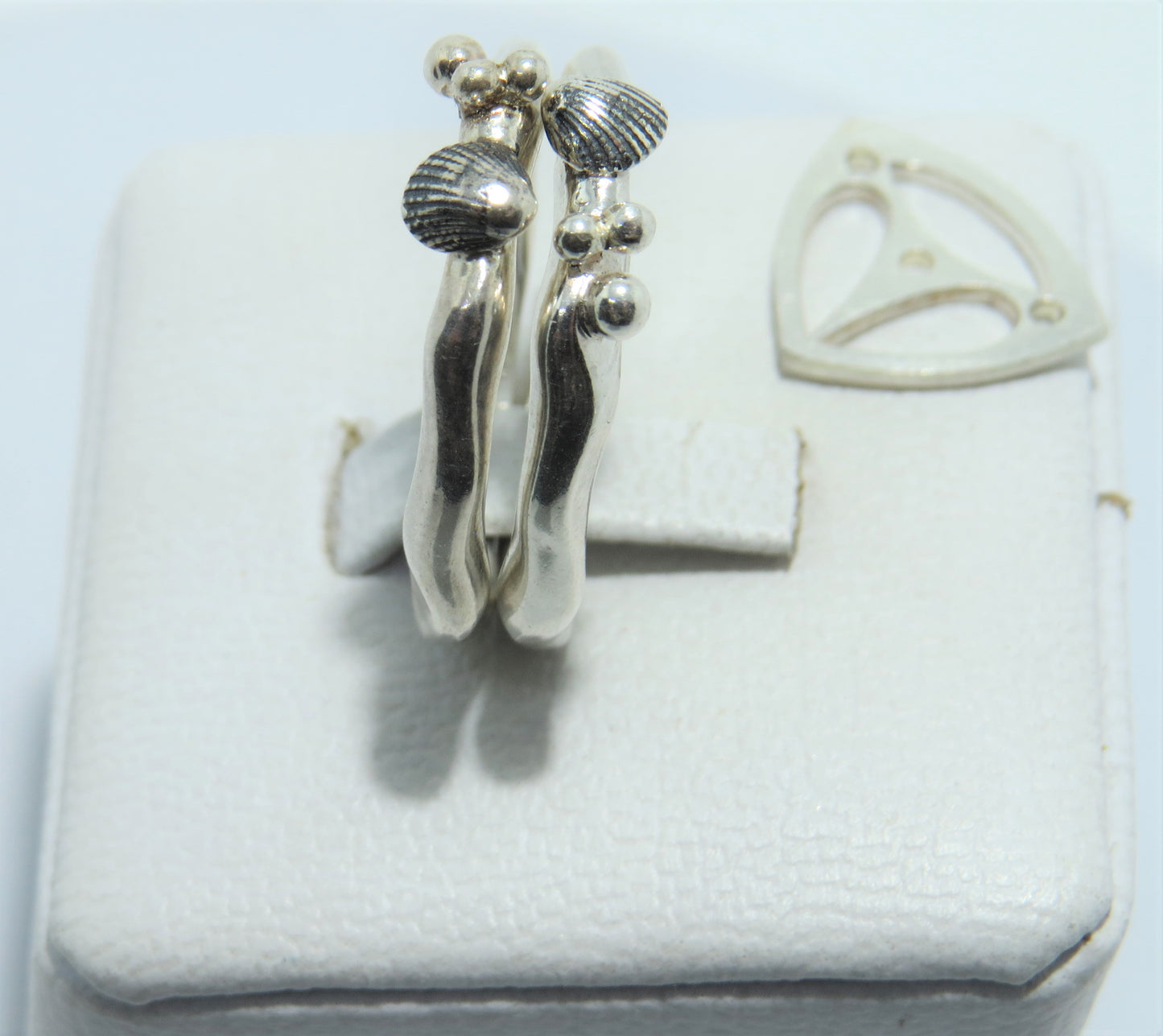 Anillo Pterius Oceana