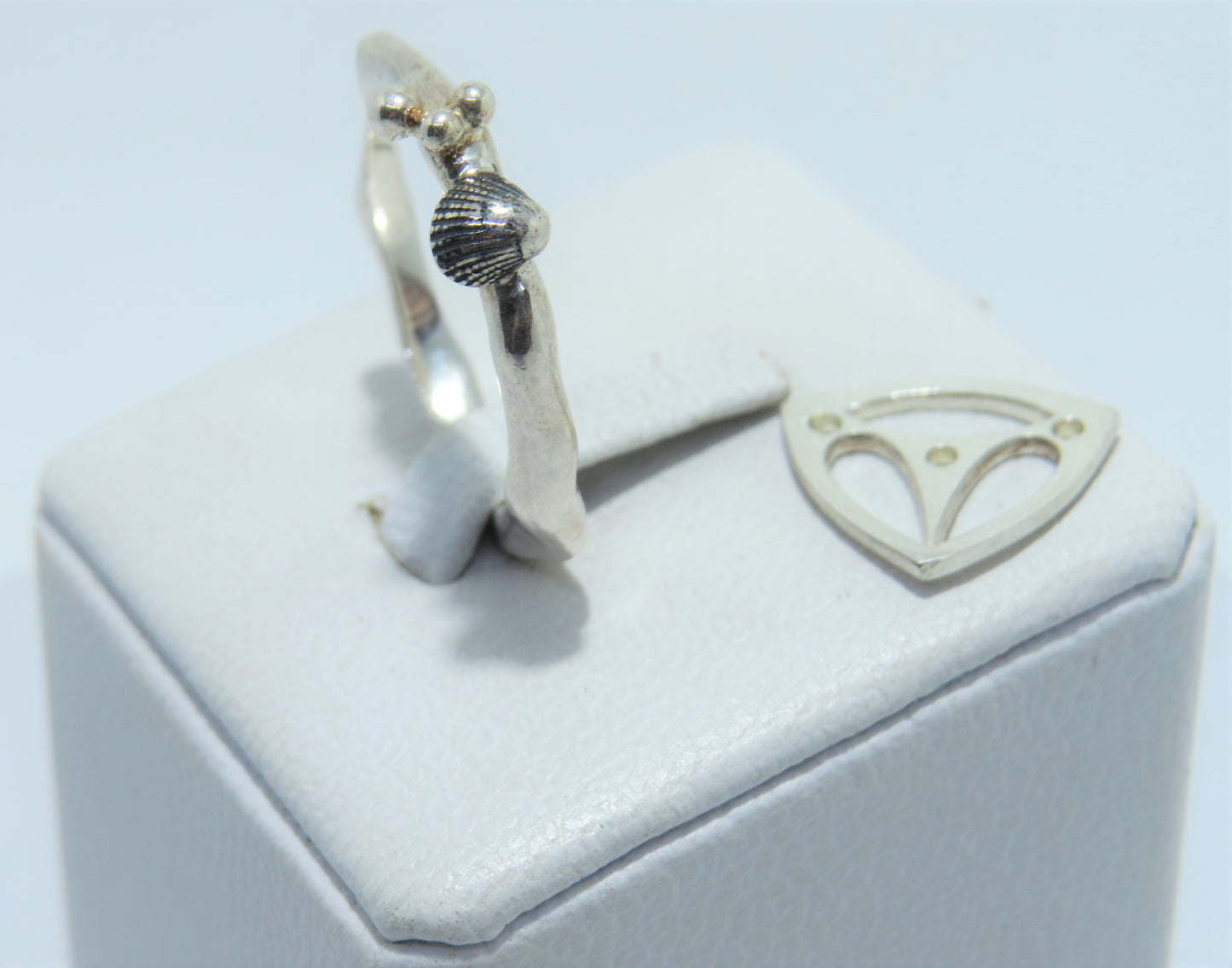 Anillo Pterius Oceana
