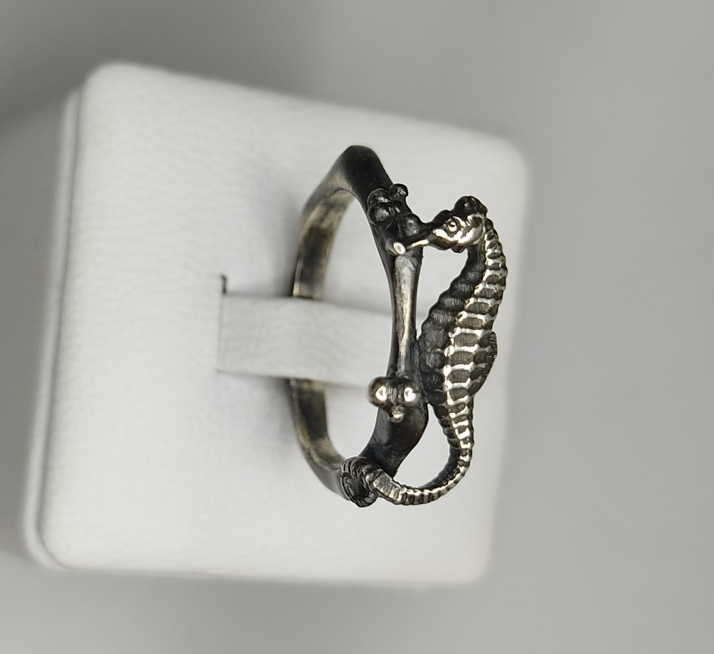 Anillo Hippocampus borboniensis de Oceana