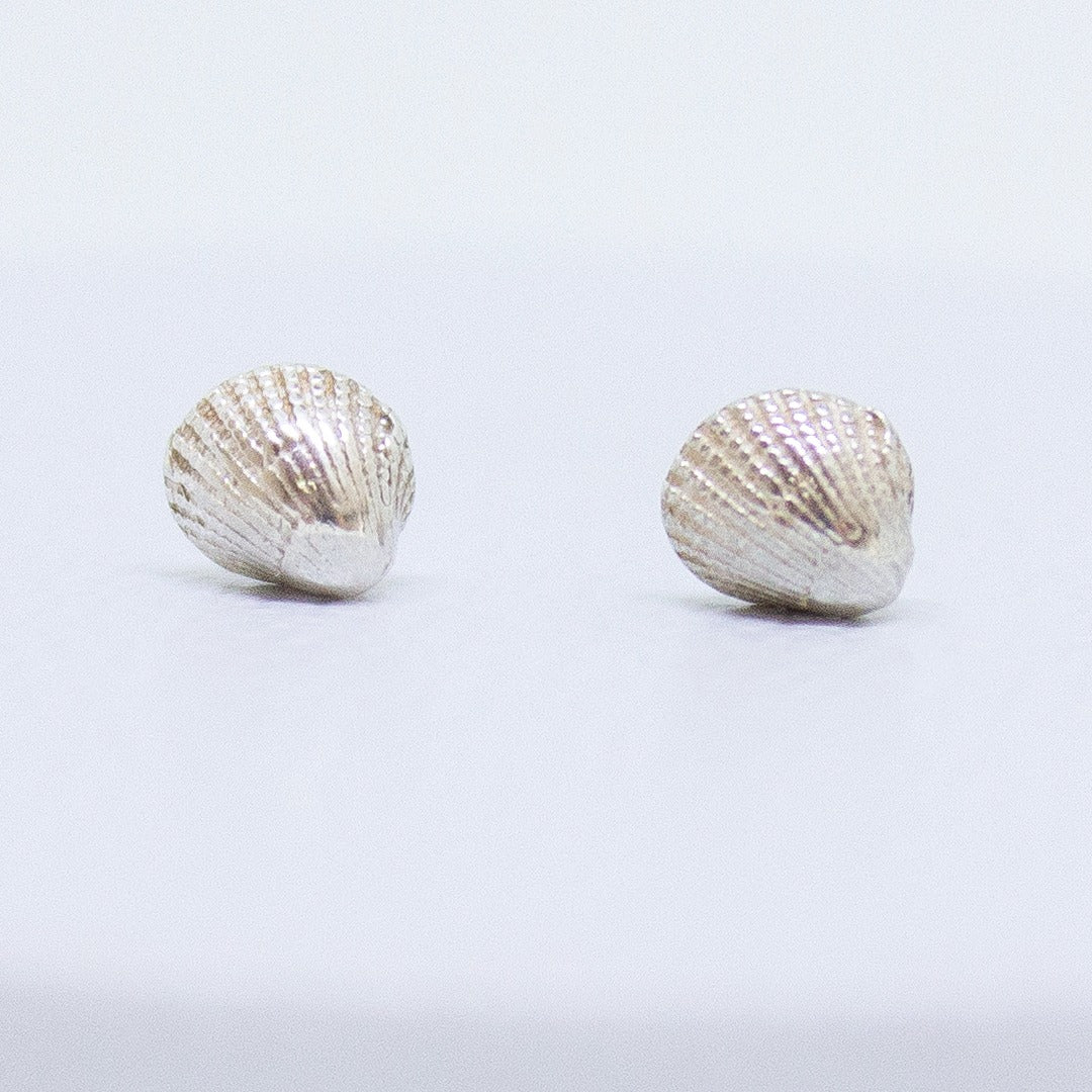 Aretes Pilidora de Oceana