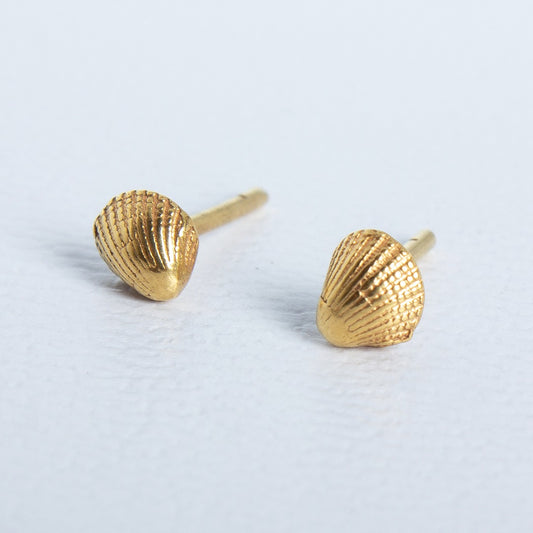 Aretes Pilidora de Oceana