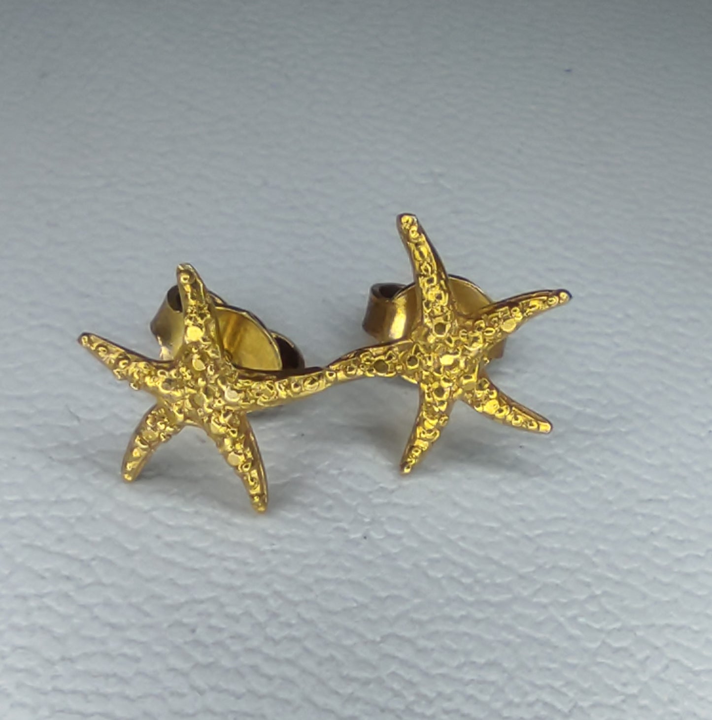 Aretes Asteroidea de Oceana