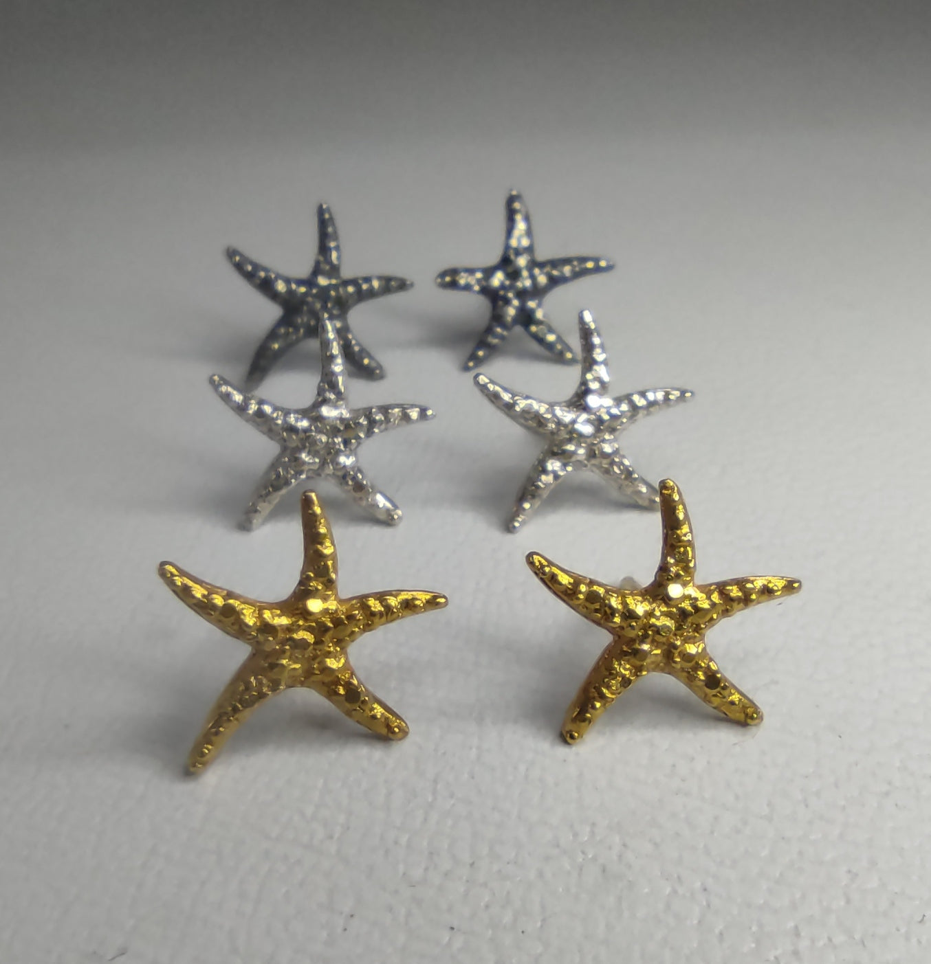 Aretes Asteroidea de Oceana