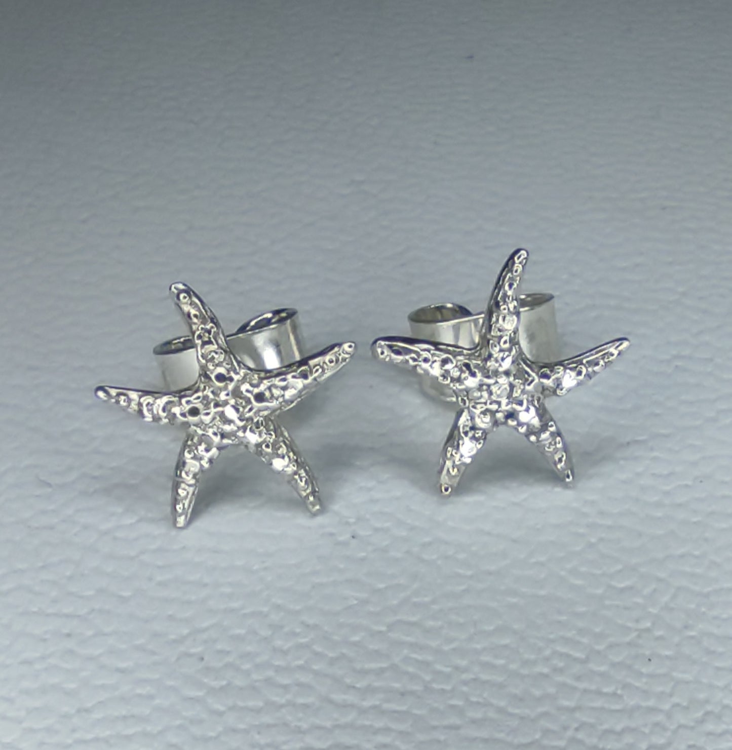 Aretes Asteroidea de Oceana