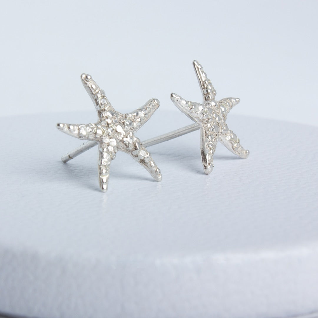 Aretes Asteroidea de Oceana