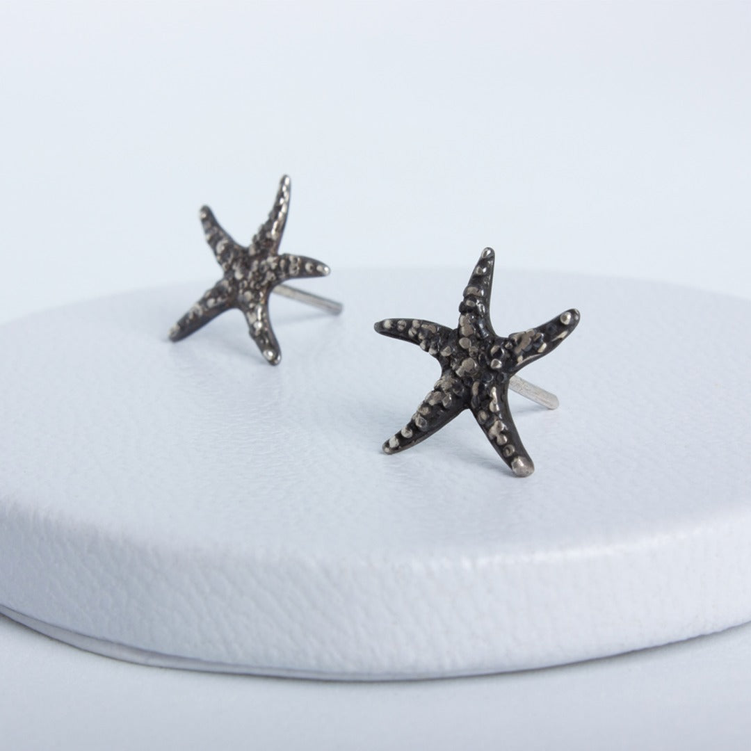 Aretes Asteroidea de Oceana