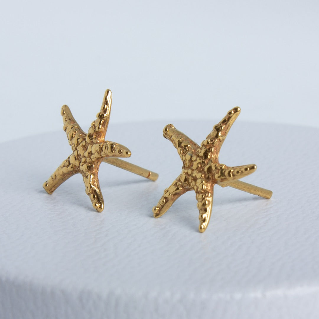 Aretes Asteroidea de Oceana