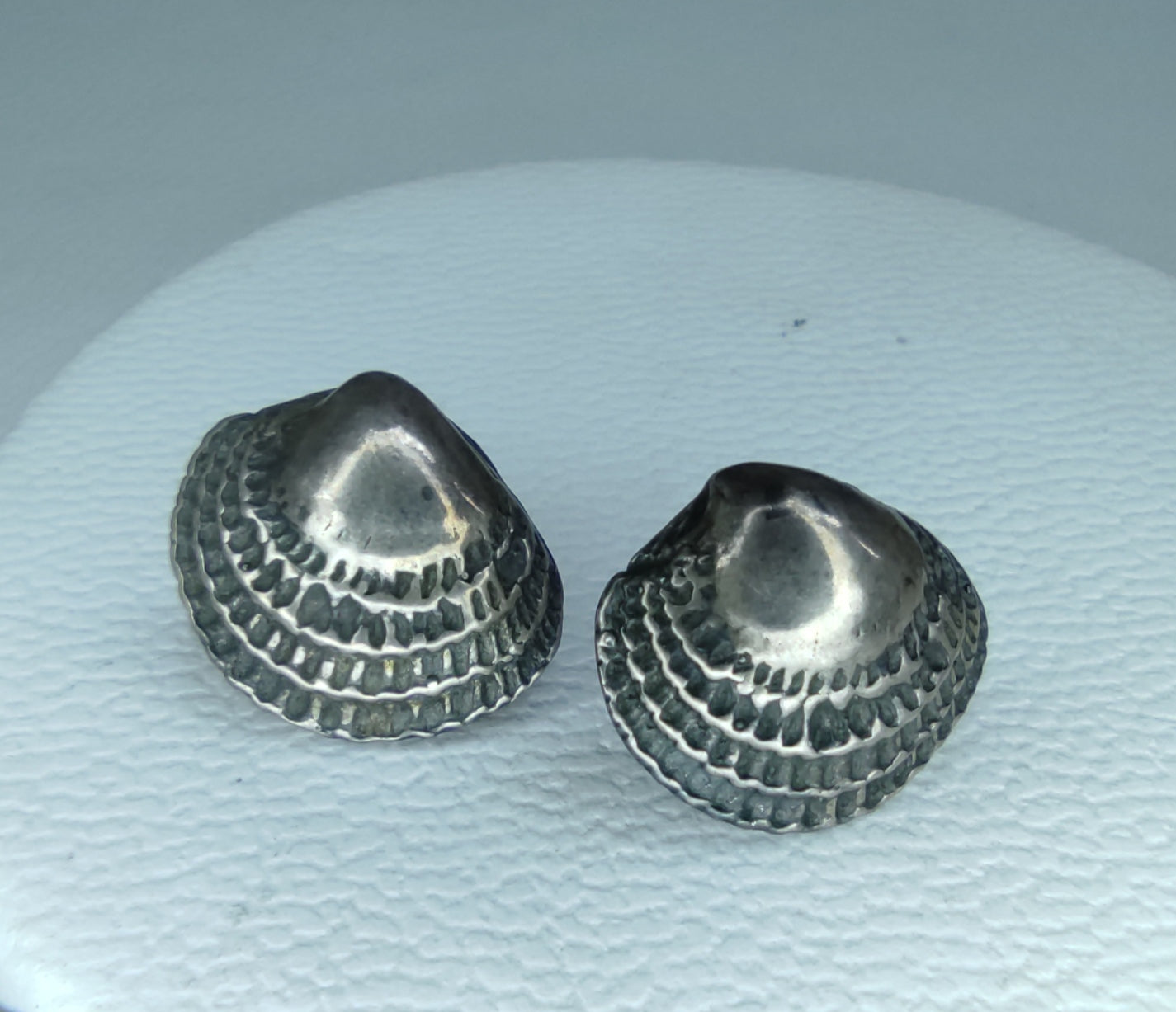 Aretes Chione de Oceana