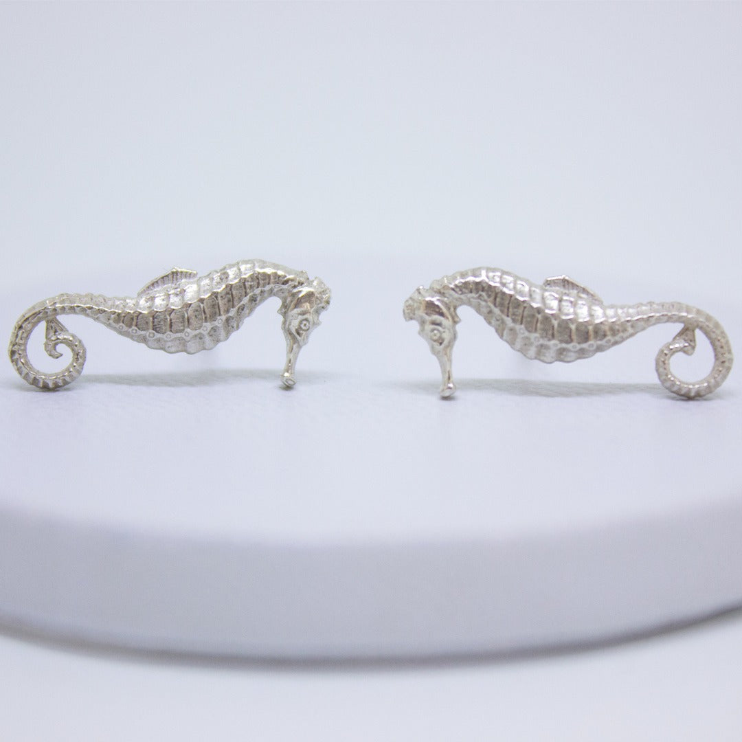 Aretes Hippocampus minotaur de Oceana