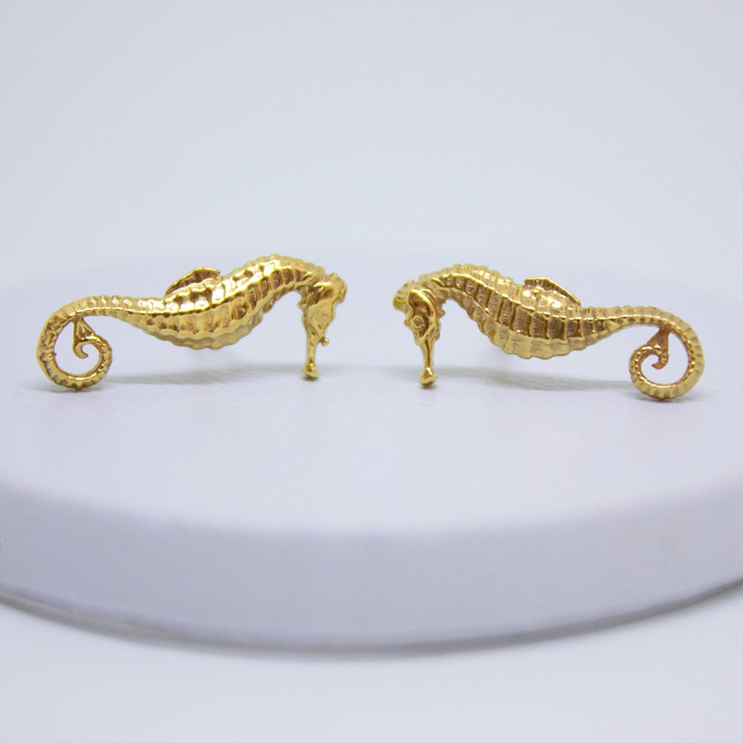 Aretes Hippocampus minotaur de Oceana