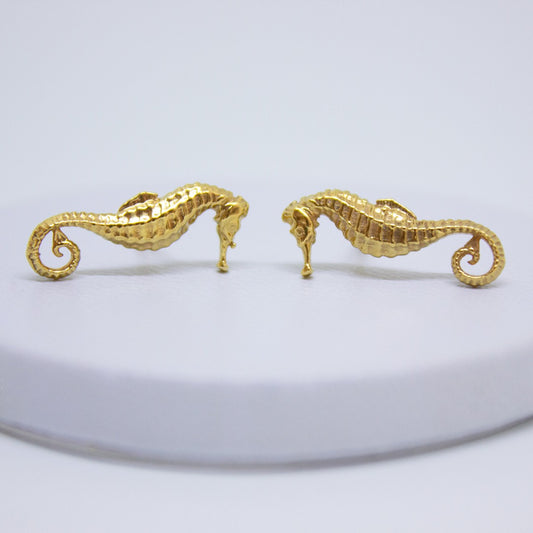 Aretes Hippocampus minotaur de Oceana